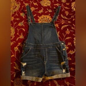 Denizen from Levi's Indigo Denim Overalls